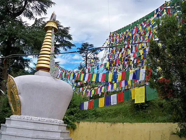 Mcleodganj & Triund Sky-Trek - Image 2