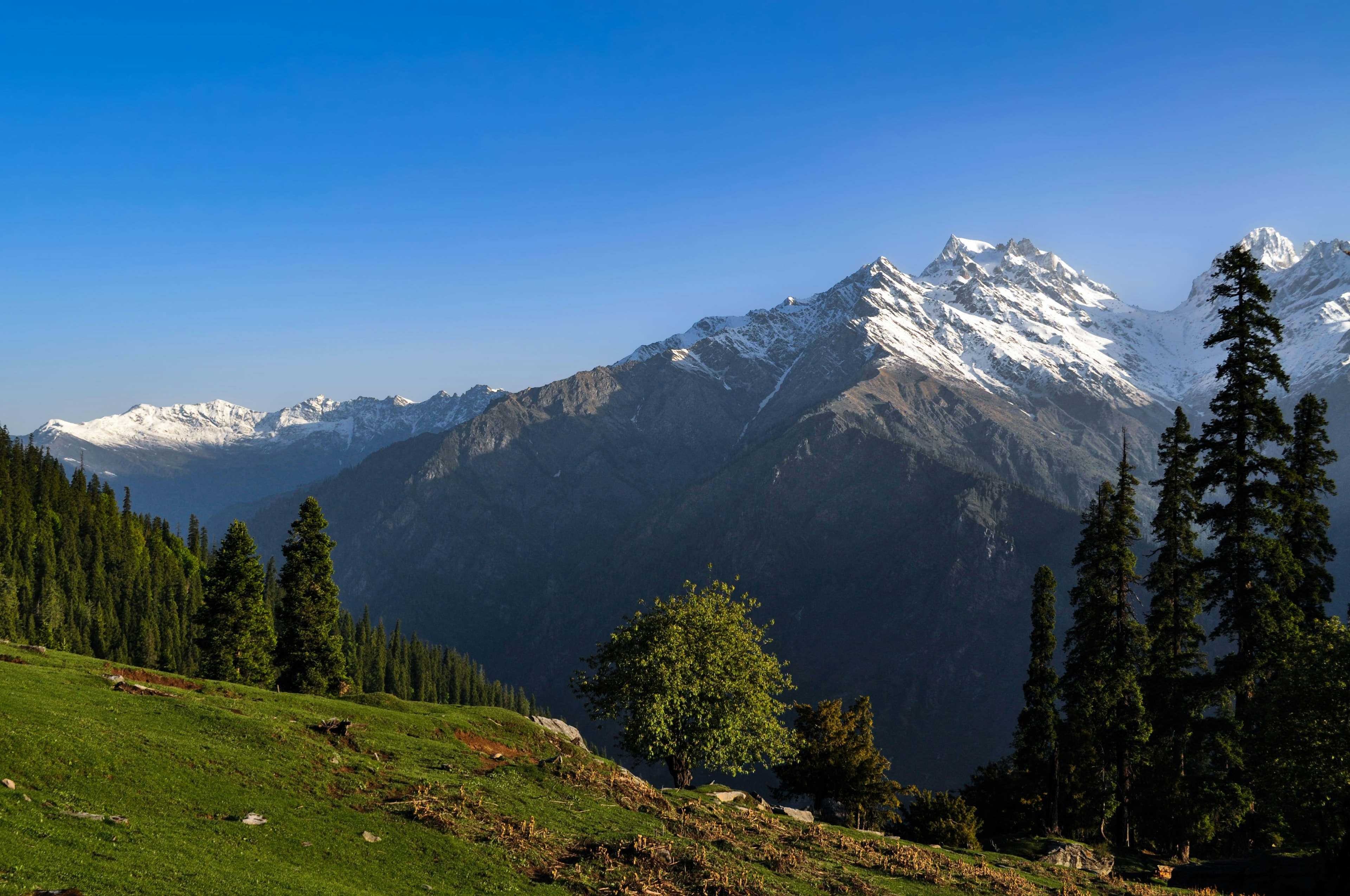 Kasol & Kheerganga Trekking Adventure