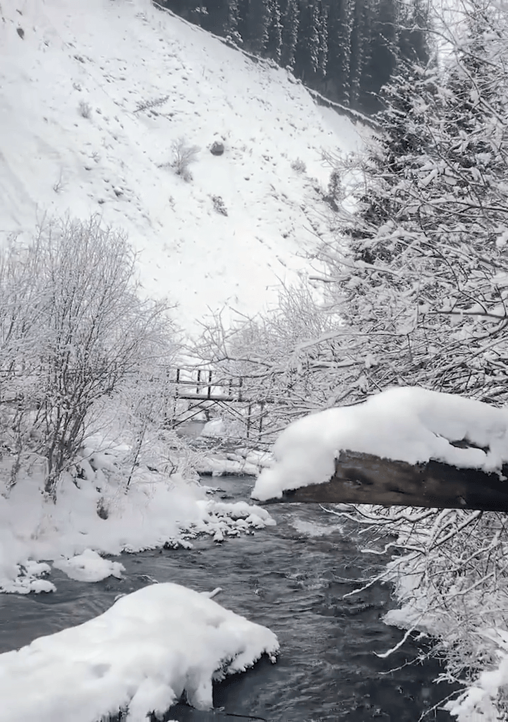 Almaty Tour - Image 1