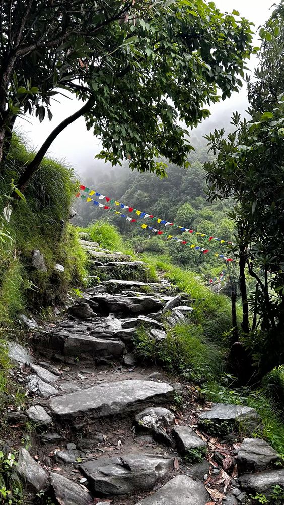 Mcleodganj Bir Billing Exploration - Image 5