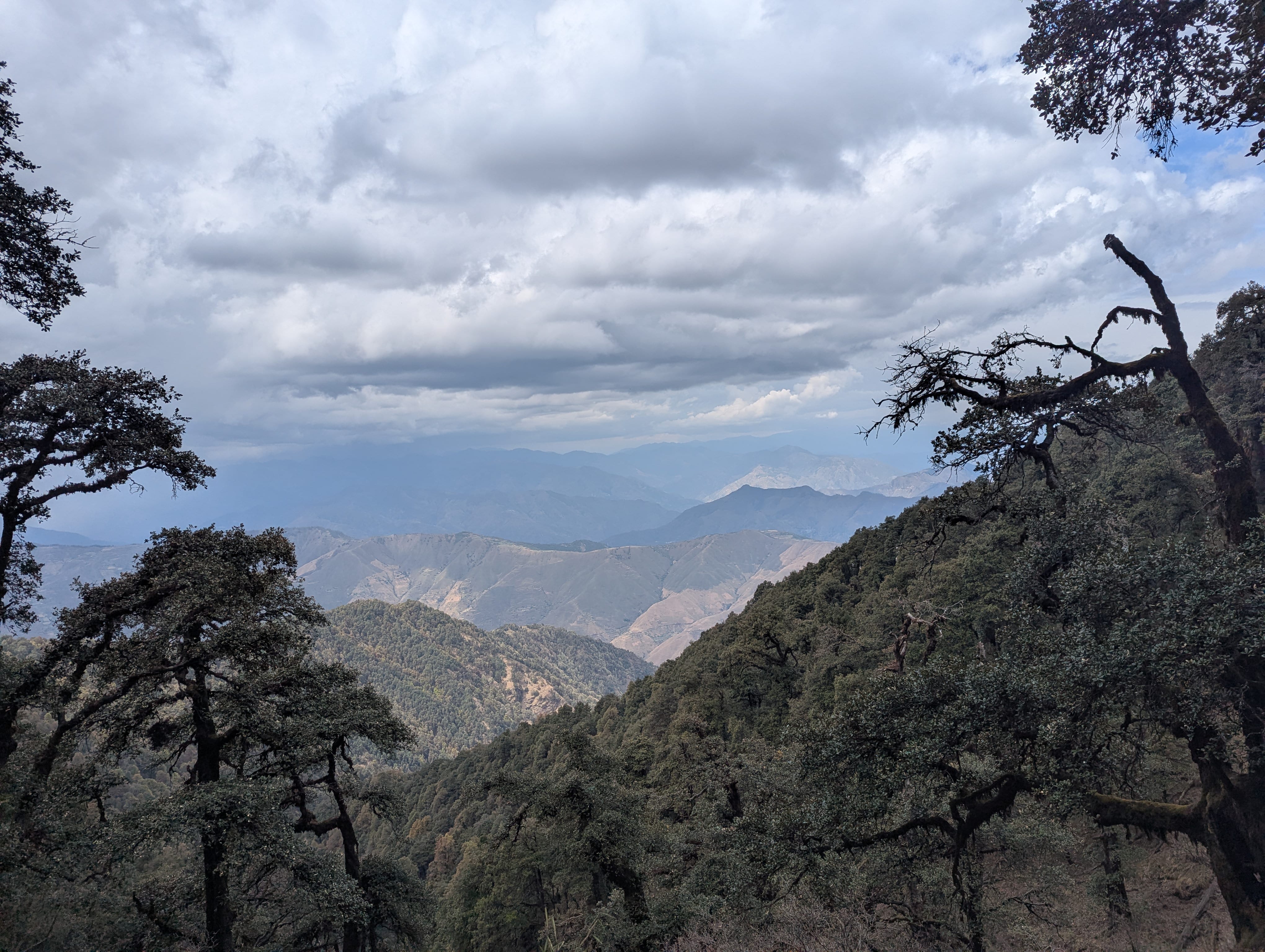 Nag Tibba Trek - Weekend Himalayan Escape
