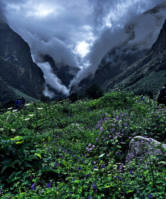 Valley of Flowers Trek