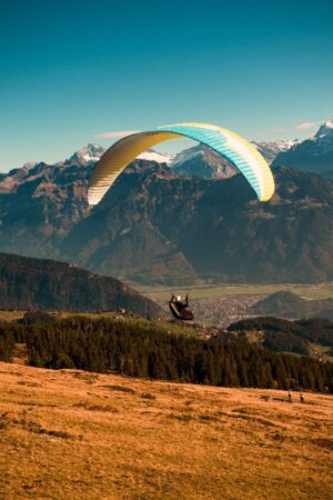 Manali & Lahaul - Image 5