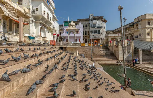Jaipur, Ajmer, Pushkar Tour - Image 6
