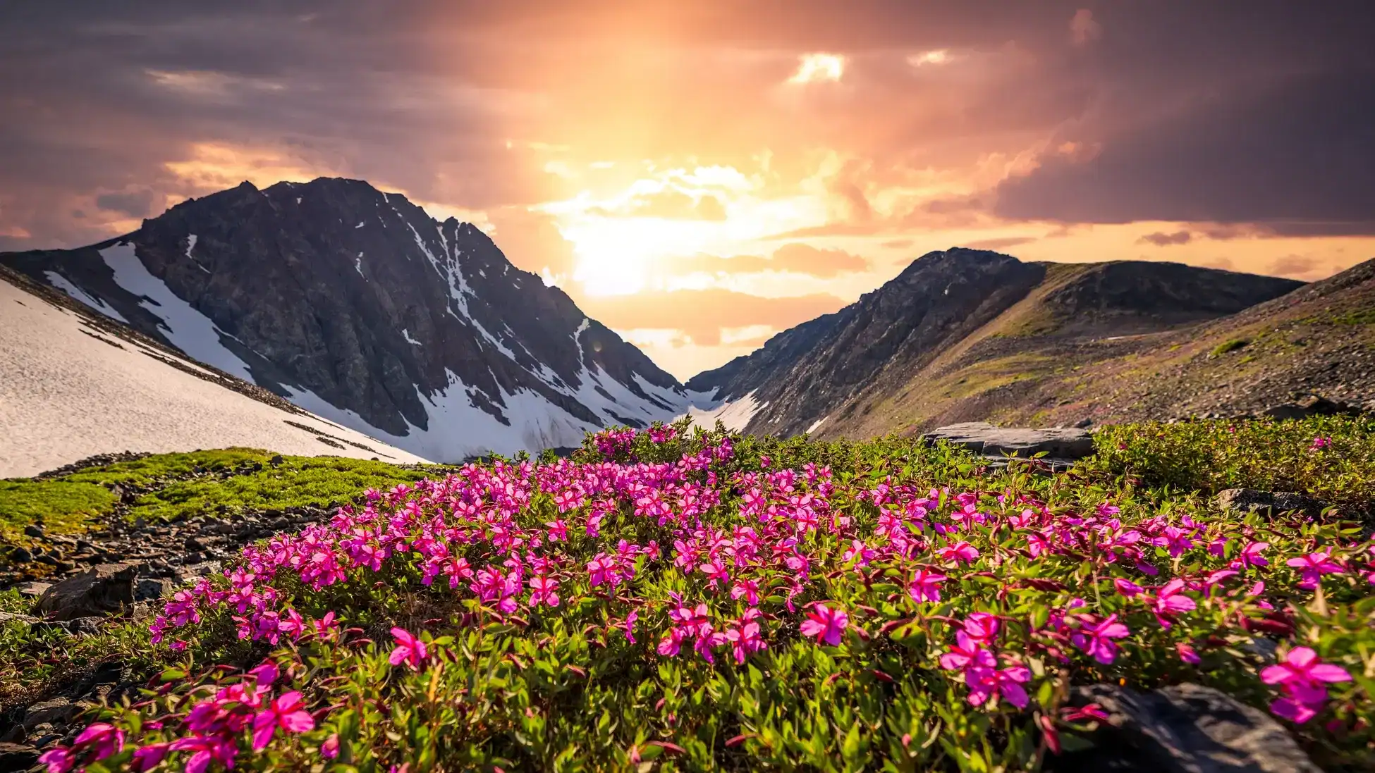 Valley of Flowers Trek - Image 1