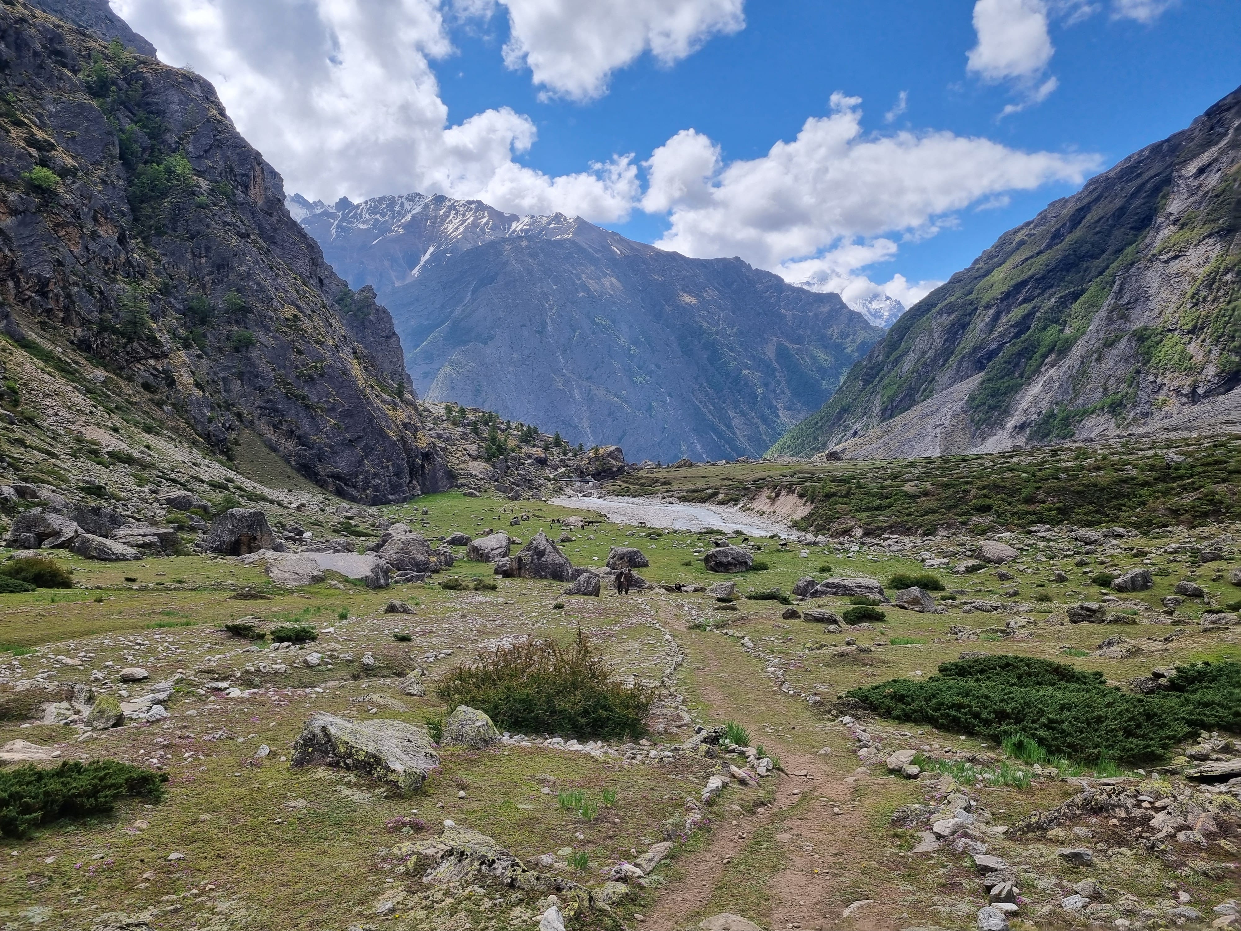 Niti Valley Biking Expedition - Ride to India's Last Village - Image 2