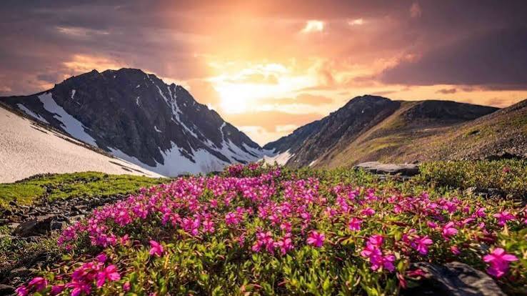 Valley Of Flowers & Hemkund Sahib Trek - Image 1