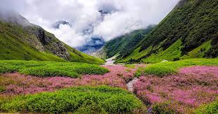 Valley Of Flowers & Hemkund Sahib Trek - Image 2