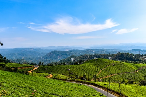 Wayanad Backpacking Trip - Image 2