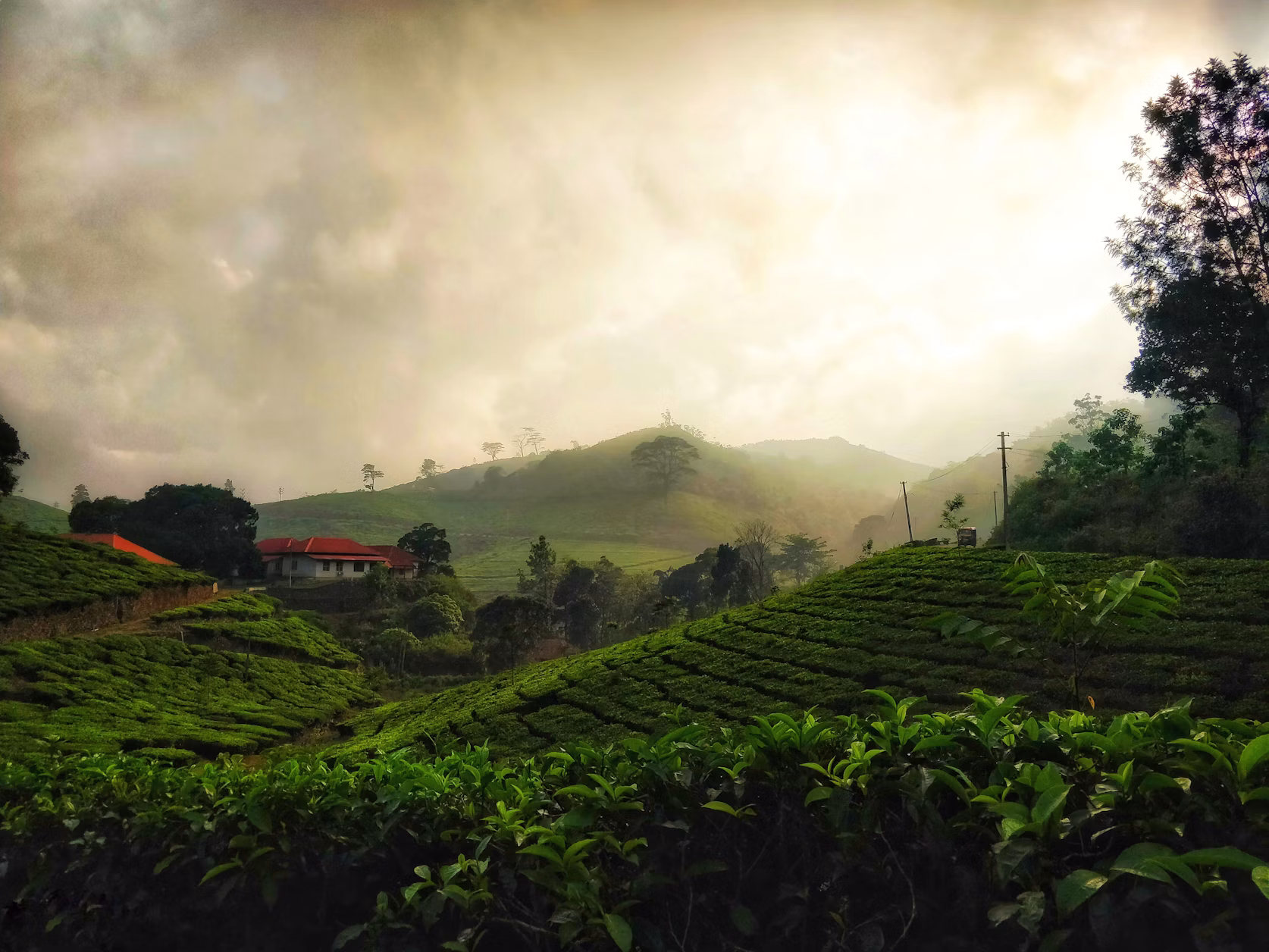Chikmagalur backpacking trip from Bangalore: a realistic weekend, Mullayanagiri and when to go